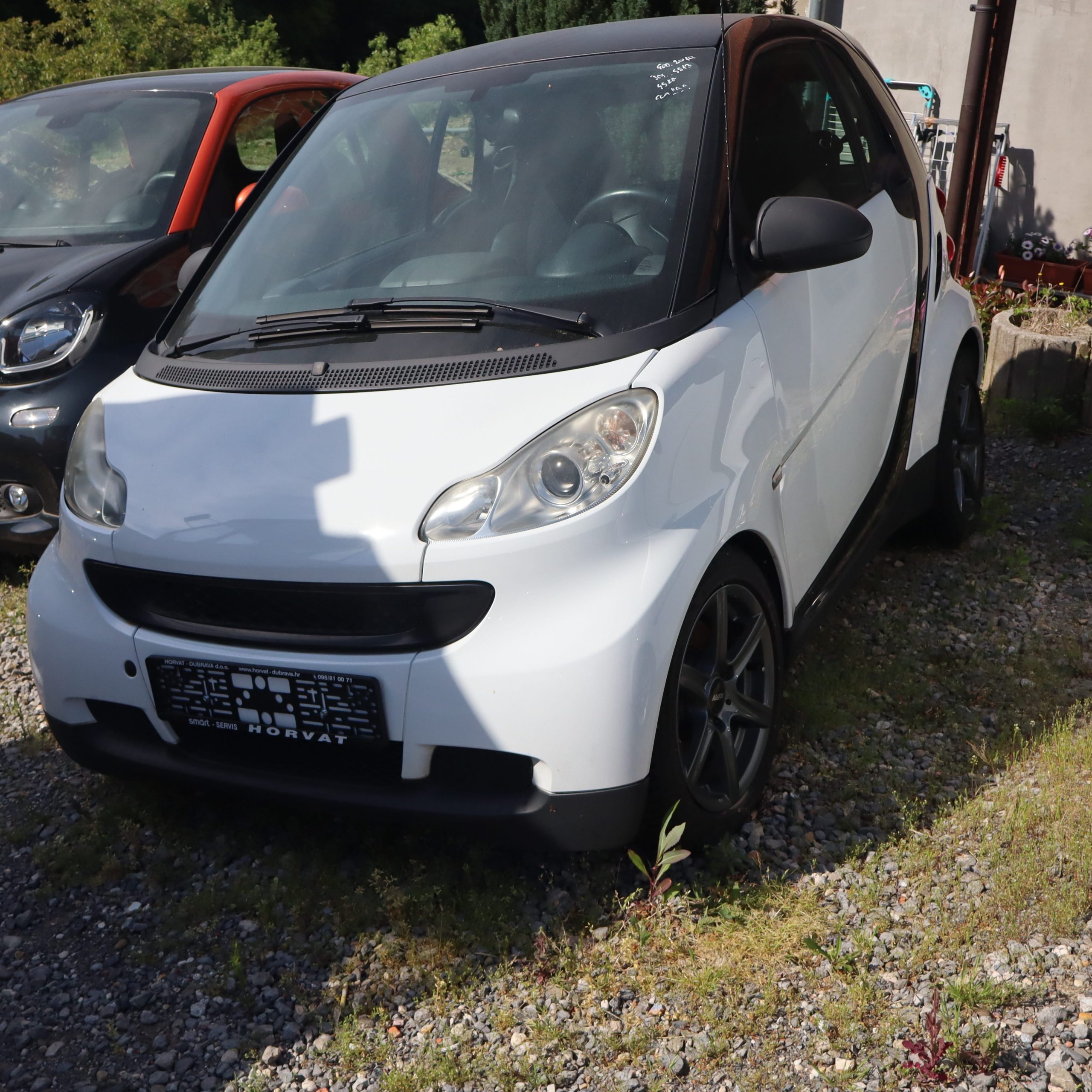 SMART 2010