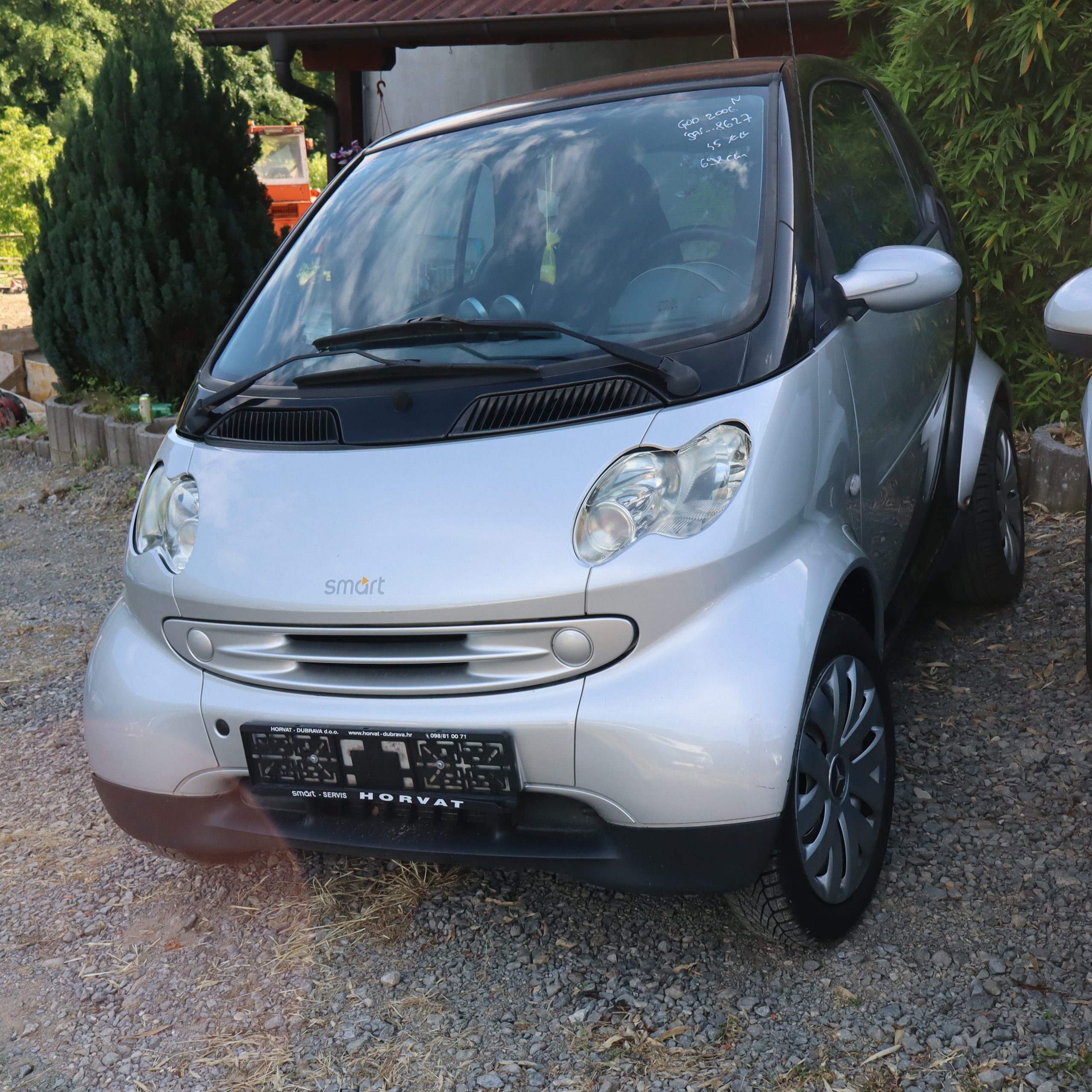 SMART 2006