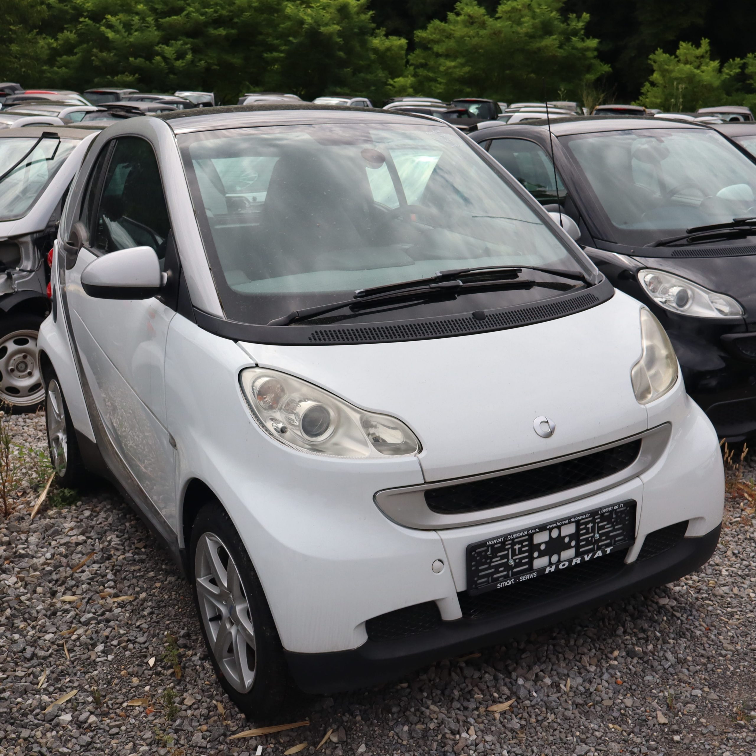 SMART 2011
