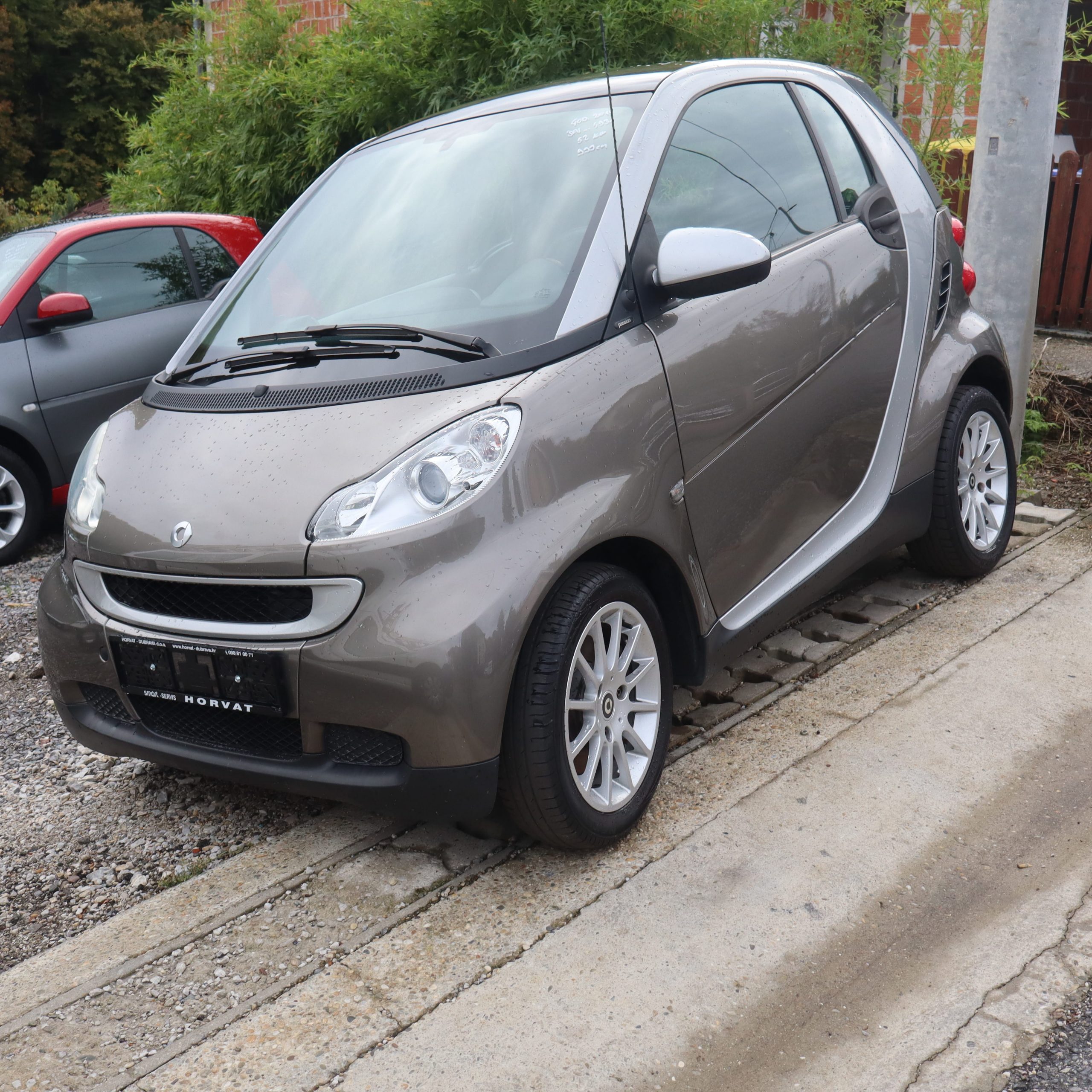 SMART 2010