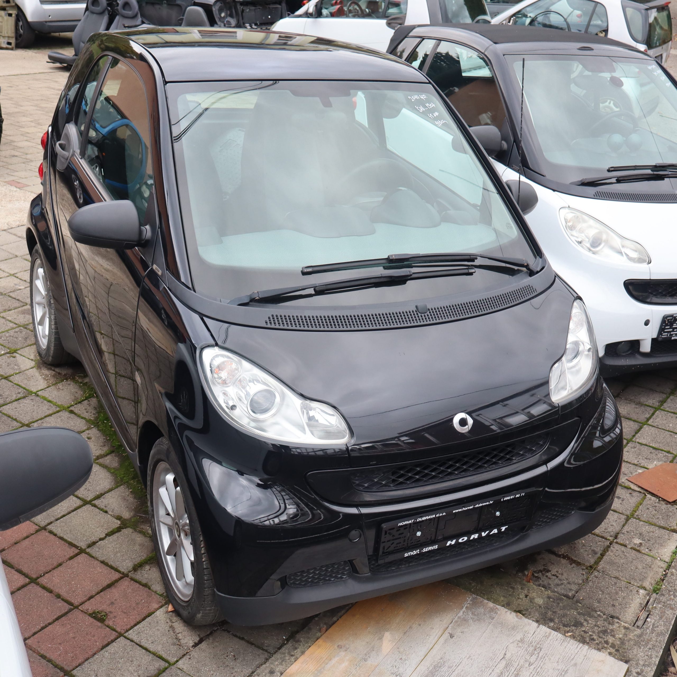 SMART 2010